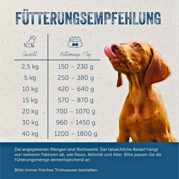 Nassfutter-Menü Lamm – Premium Alleinfuttermittel für Hunde mit frischem Weidelamm, Kartoffeln, Blattspinat & Kräutern